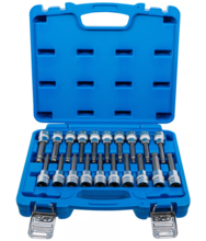 Set cu biti imbus, torx, si spline XZN cu cap sferic 1/2" 20 piese BGS Technic 5170 Set cu biti imbus, torx, si spline XZN cu cap sferic 1/2" 20 piese BGS Technic 5170